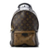 Louis Vuitton Monogram Palm Springs Backpack