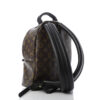 Louis Vuitton Monogram Palm Springs Backpack back