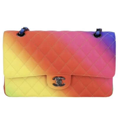Chanel Classic Rainbow Flap Bag Cruise Collection 2023