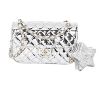 Chanel Metallic Flap Bag with Star Coin purse 2024