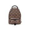 Louis Vuitton Mini Palm Springs Shoulder Bag Brown Monogram Canvas