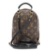 Louis Vuitton Mini Palm Springs Shoulder Bag Brown Monogram Canvas back