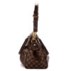 Louis Vuitton Trevi PM Handbag Brown Damier Ebene Canvas side