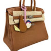 Hermes Birkin 25 Bag in Gold Togo Alligator Touch Palladium Hardware