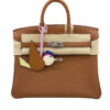 Hermes Birkin 25 Gold Togo and Alligator Touch Bag Palladium Hardware