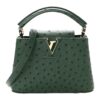 Louis Vuitton Ostrich Mini Capucines Bag in Mint Green