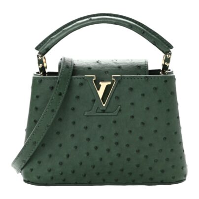 Louis Vuitton Ostrich Mini Capucines Bag in Mint Green