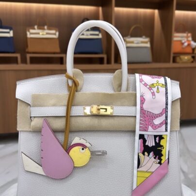 New Hermes Birkin 25 Gris Pale Togo Leather Gold Hardware