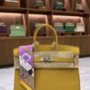 New Hermes Birkin 25 Togo Jaune Ambre Palladium Hardware Bag