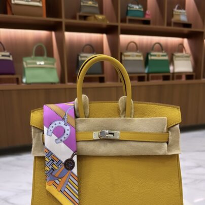 New Hermes Birkin 25 Togo Jaune Ambre Palladium Hardware Bag