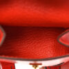 Hermes Kelly Quelle Idole Bag Charm Accessory Chevre Mysore Capucine Jaune Vert interior