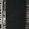 Christian Dior Medium New York Black and White Book Tote 2024 interior