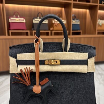 Hermes Birkin 25 Black Togo Leather GHW