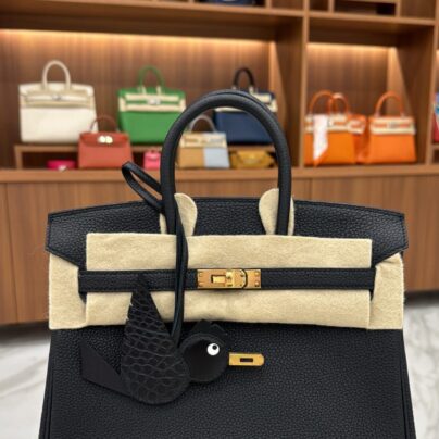 Hermes Birkin 25 Black Togo Leather Gold Hardware