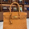 Hermes Birkin 25 Caramel Ostrich Leather GHW