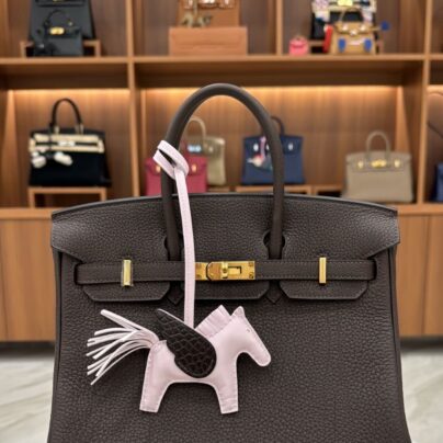 Hermes Birkin 25 Ebene Togo Leather GHW