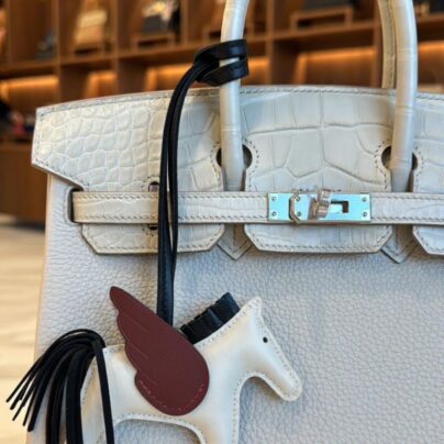 Hermes Birkin 25 Touch Matte Alligator Beton Togo PHW