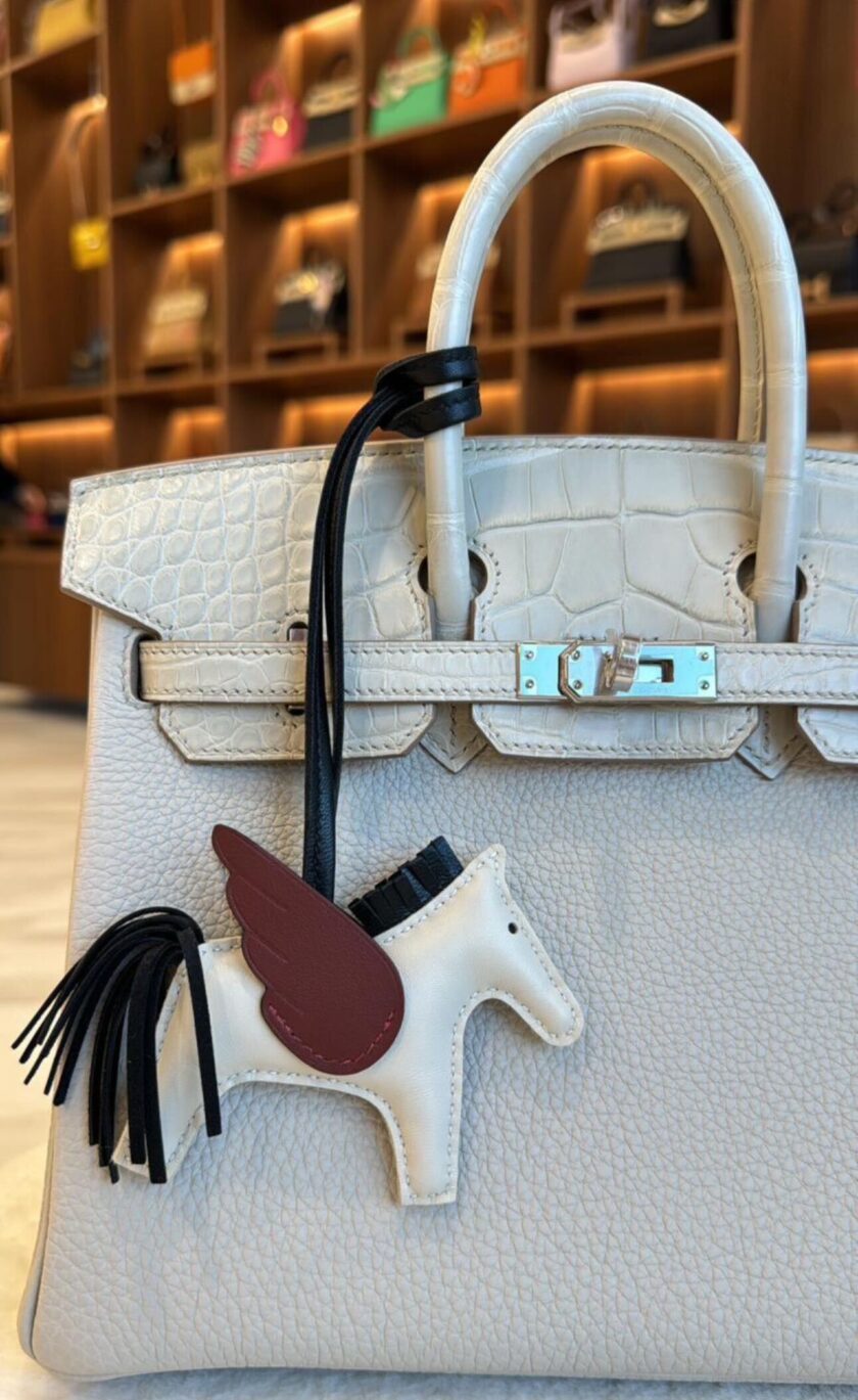 Hermes Birkin 25 Touch Matte Alligator Beton Togo PHW