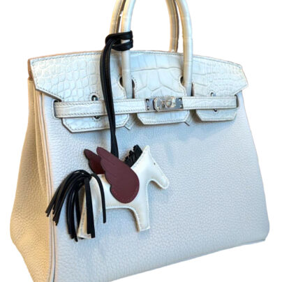 Hermes Birkin 25 Touch Matte Alligator Beton Togo Palladium Hardware