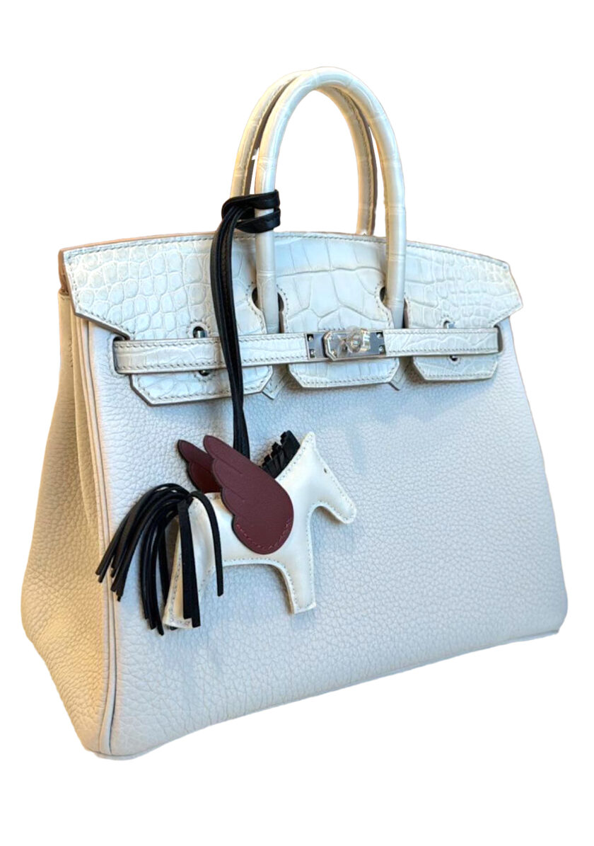 Hermes Birkin 25 Touch Matte Alligator Beton Togo Palladium Hardware