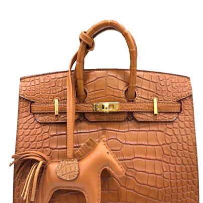 Hermes Birkin 20 Gold Alligator Mississipi GHW