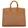 Hermes Birkin 25 Limited Edition Butler Maillons En Chaine Naturel Sable PHW