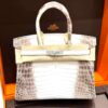 Hermes Birkin 30 Himalaya Matte Niloticus Crocodile Diamond Hardware