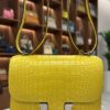 Hermes Constance 18 Lime Matte Alligator Mississippi Palladium Hardware