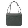 Hermes Constance 18 Ostrich Vert Amande back