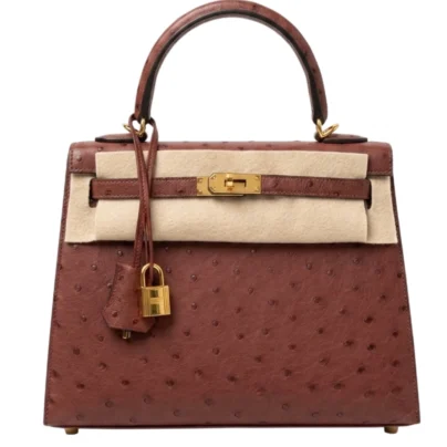 Hermès Kelly 25 Sellier Ostrich Rouge H Gold Hardware