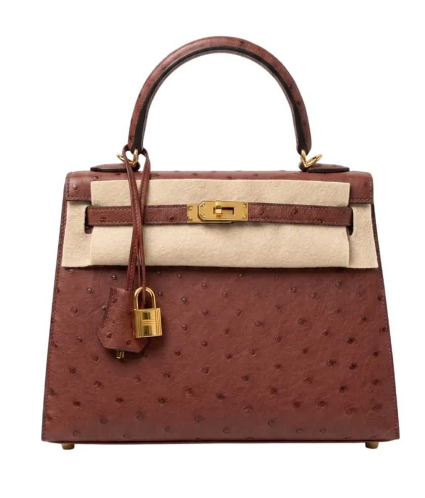 Hermès Kelly 25 Sellier Ostrich Rouge H Gold Hardware