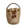 Celine Teen Clara Small Raffia Calfskin Bucket Bag