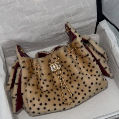 Chanel 25 Mini Beige Black Cheetah Print Pony Hair Fur Gold tone Hardware 2026 Metiers Dart