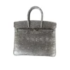 Hermes Birkin 25 Ombré Lizard leather Palladium Hardware