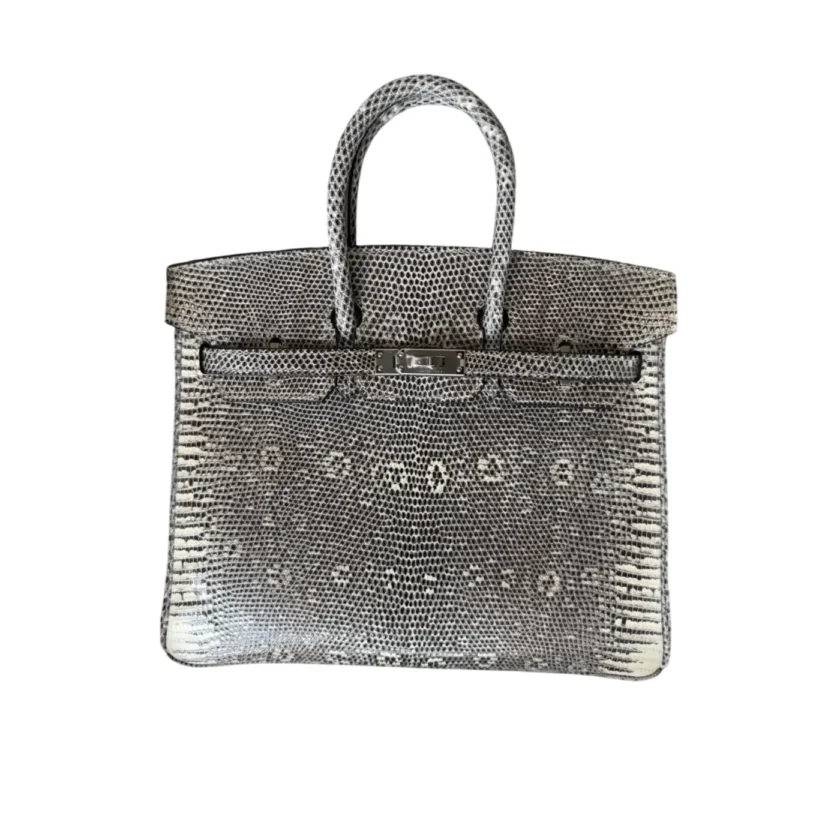 Hermes Birkin 25 Ombré Lizard leather Palladium Hardware