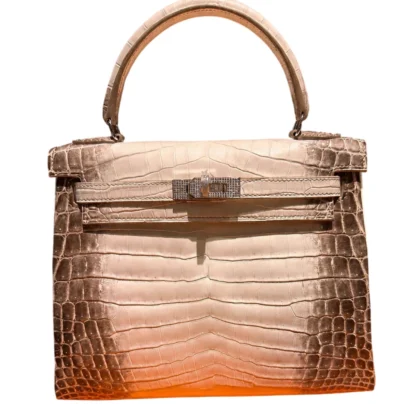 Hermes Kelly 25 Retourne Himalayan Diamond Matte Niloticus Crocodile bag