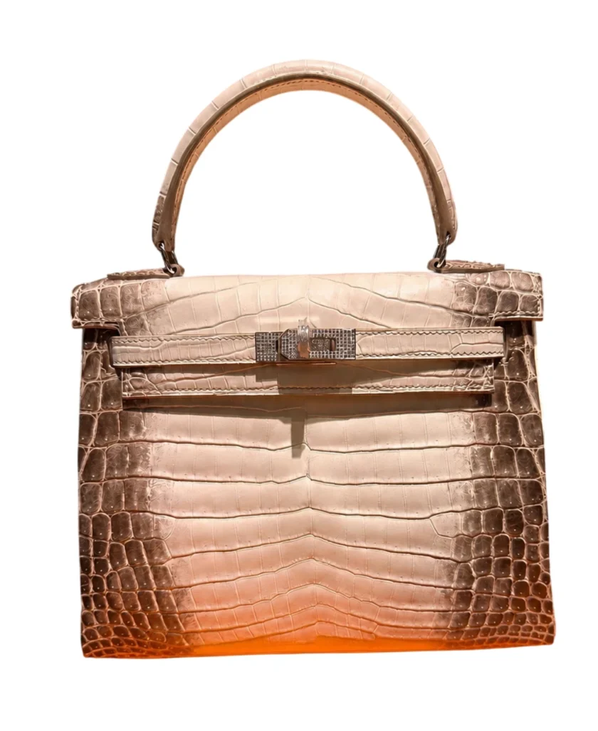Hermes Kelly 25 Retourne Himalayan Diamond Matte Niloticus Crocodile bag