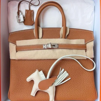 New Hermes Birkin 25 Gold Togo Palladium Hardware