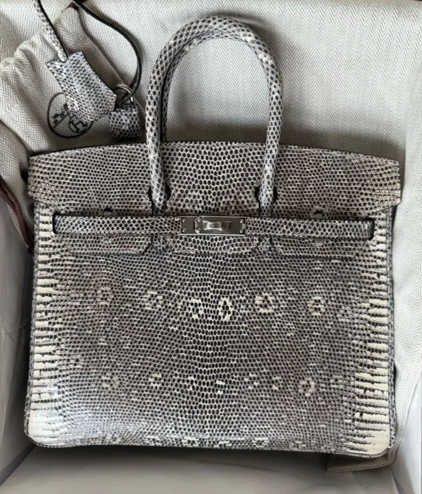 Rare Hermes Birkin 25 Ombré Lizard leather Palladium Hardware