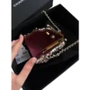 Chanel Oyster Minaudiere Silver Evening Bag Metiers D'Art 2026 interior